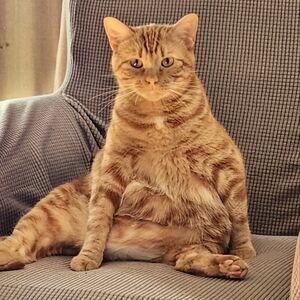 Meet your Posher, Barb